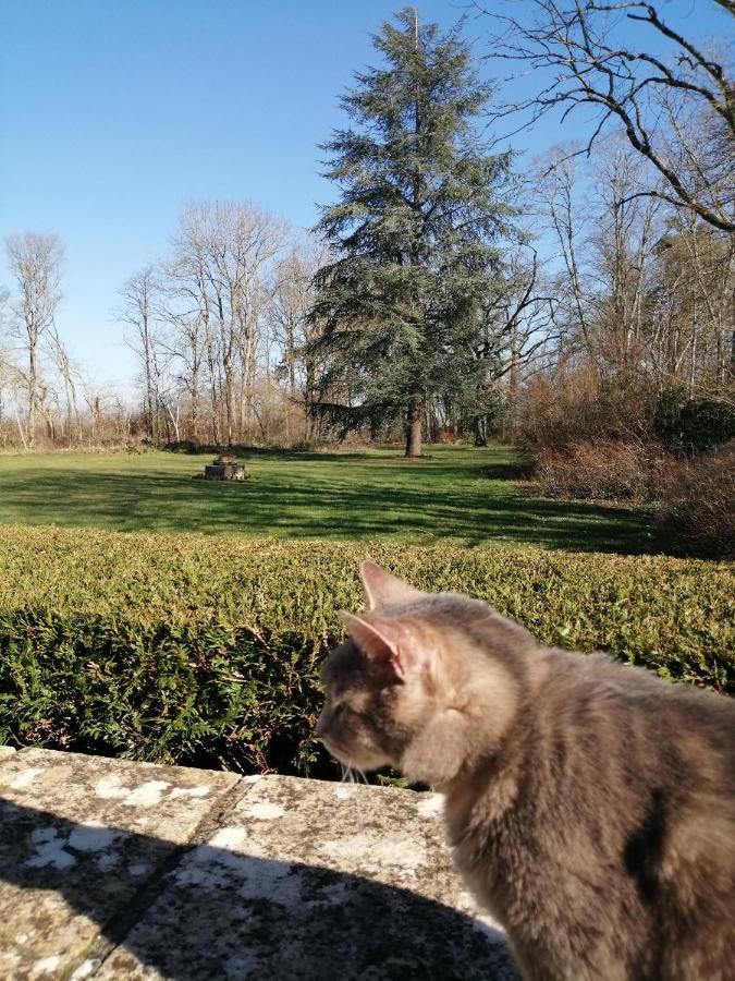 Domaine De Prefond Bed & Breakfast Bengy-sur-Craon Екстериор снимка