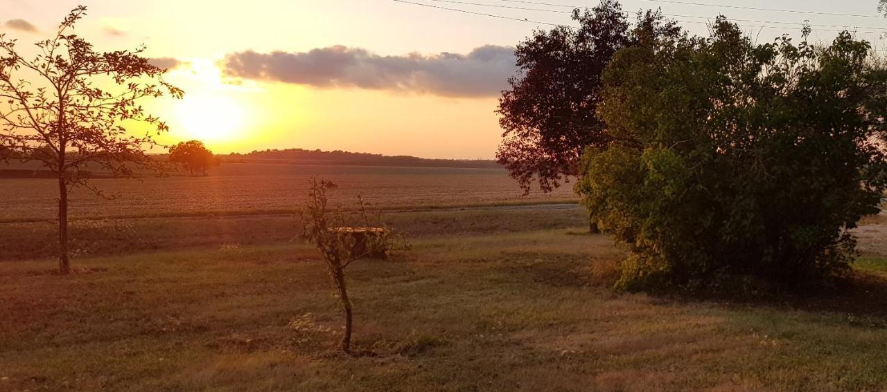 Domaine De Prefond Bed & Breakfast Bengy-sur-Craon Екстериор снимка