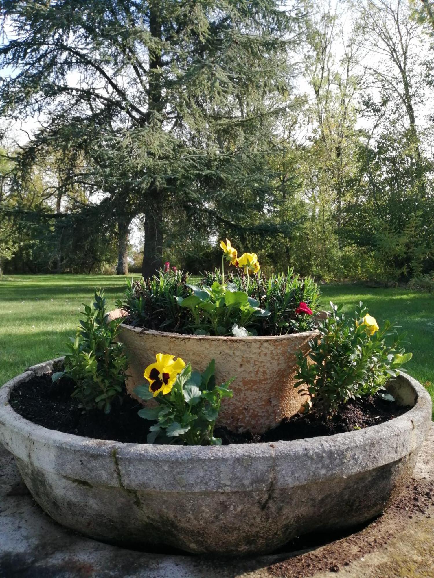Domaine De Prefond Bed & Breakfast Bengy-sur-Craon Стая снимка